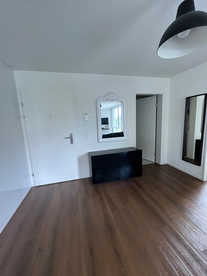 Fully Furnished 2.5-Room Apartment Zürich Oerlikon (3)