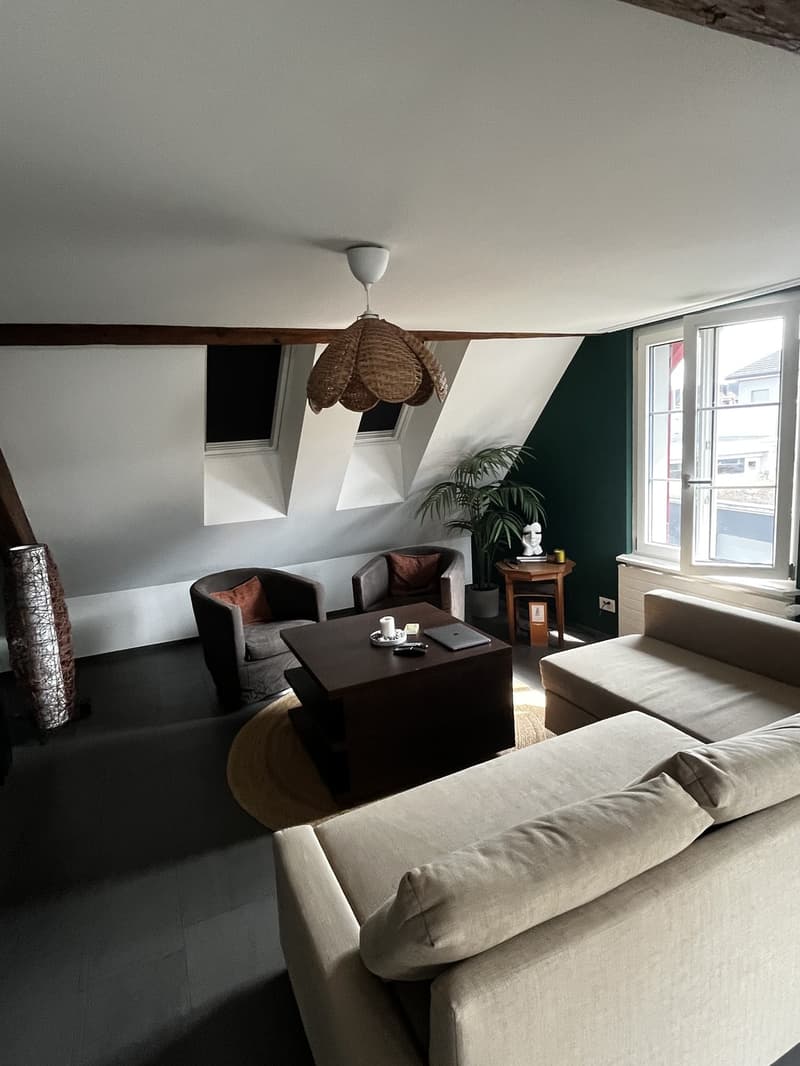 Helles Zimmer in grosszügiger 3.5-Zimmer-Wohnung in Dietikon (3)