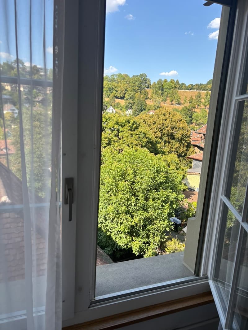 Charmante 3-Zimmer-Wohnung an der Gerechtigkeitsgasse in Bern (8)