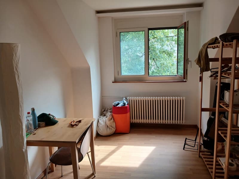 Room in WG next to Brunaupark (6)