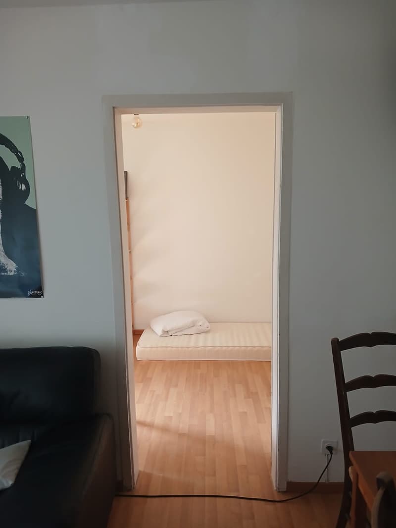 Room in WG next to Brunaupark (2)