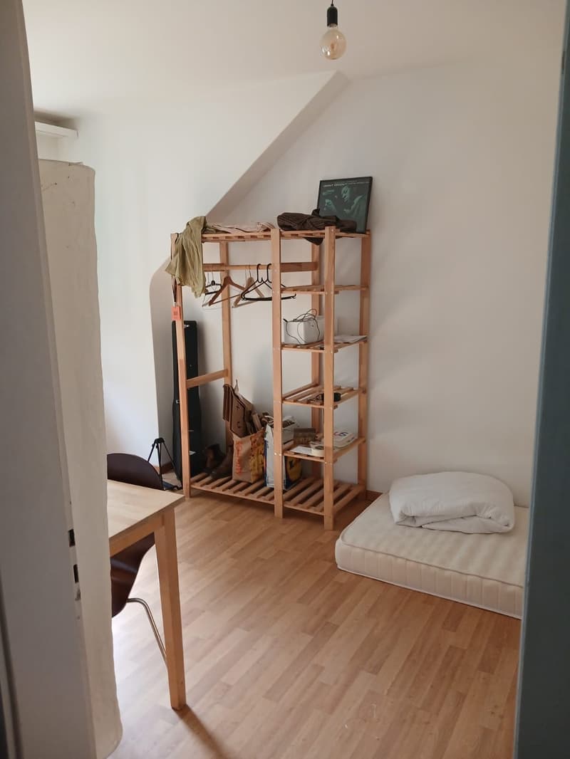 Room in WG next to Brunaupark (4)