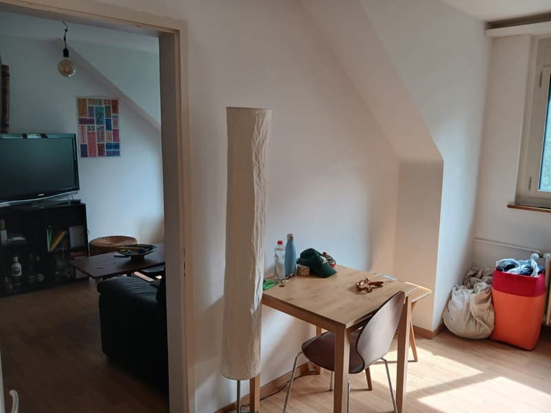 Room in WG next to Brunaupark (5)