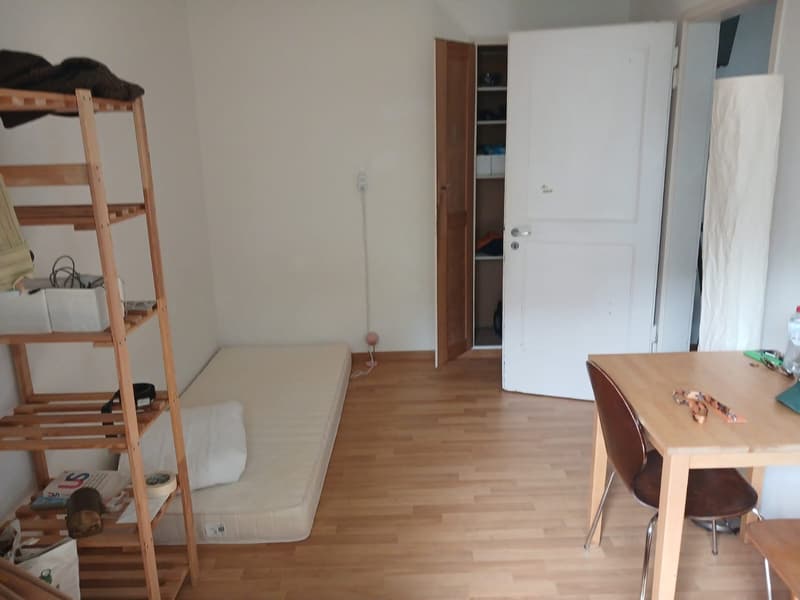 Room in WG next to Brunaupark (3)