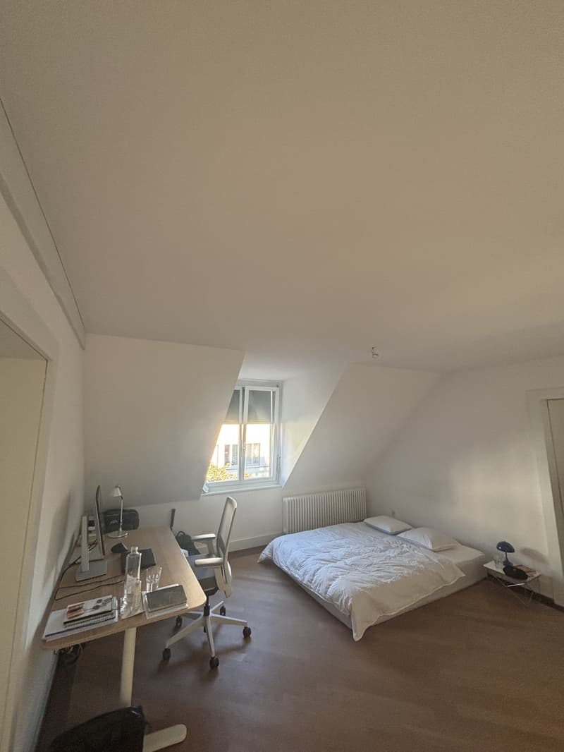 Bright 20 m² Room in Duplex with Rooftop Terrace in Kreis 4 (6)