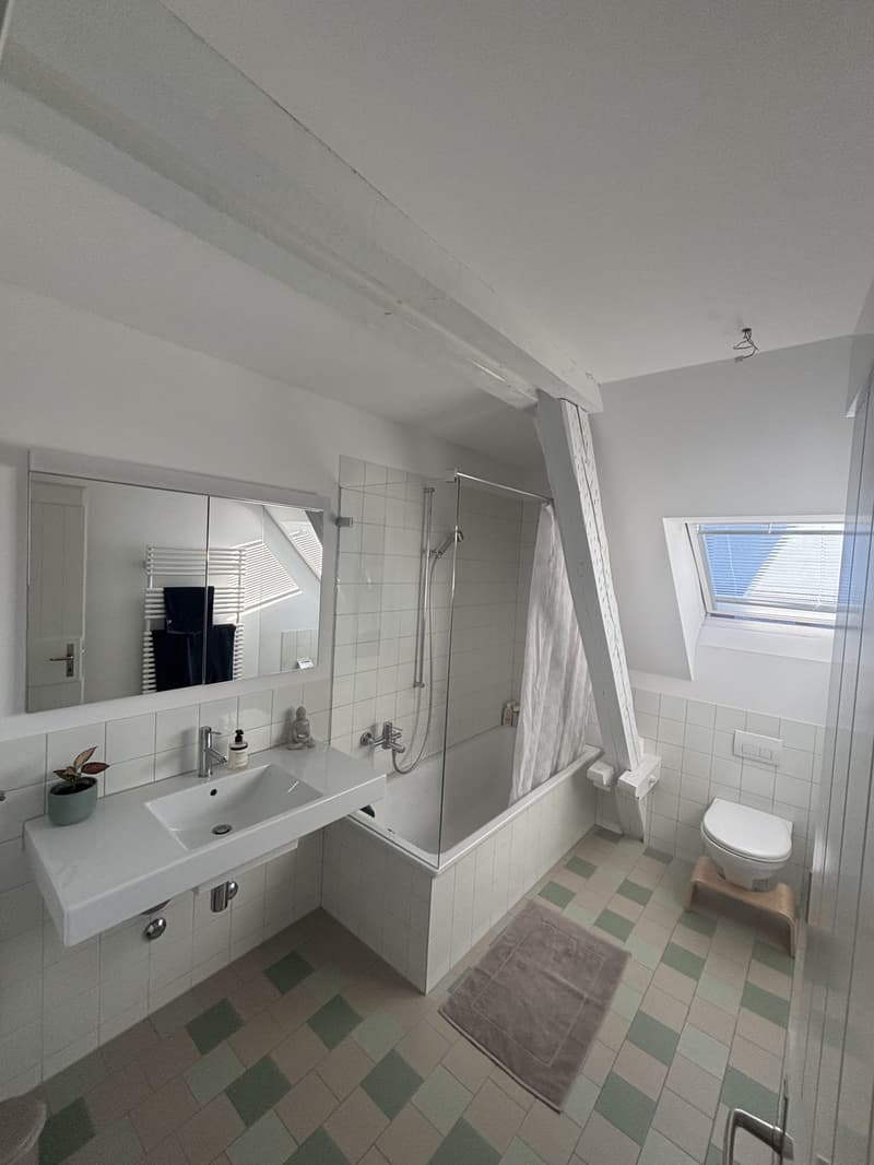 Bright 20 m² Room in Duplex with Rooftop Terrace in Kreis 4 (9)