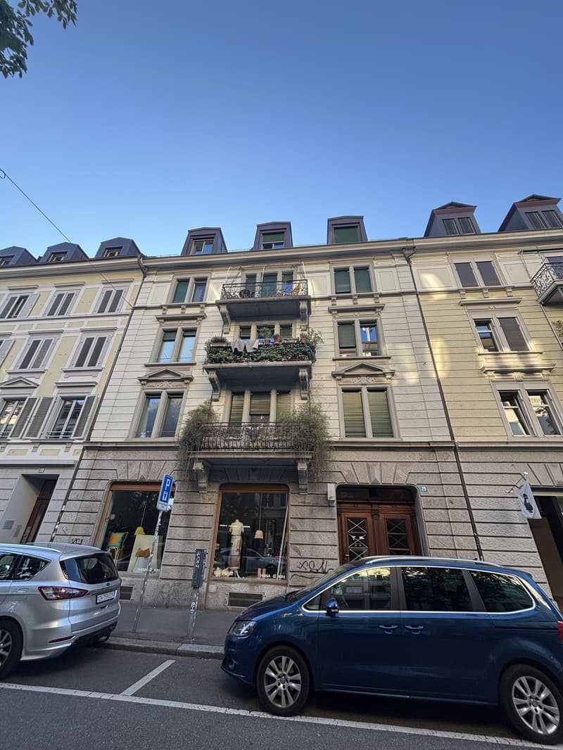 Bright 20 m² Room in Duplex with Rooftop Terrace in Kreis 4 (3)