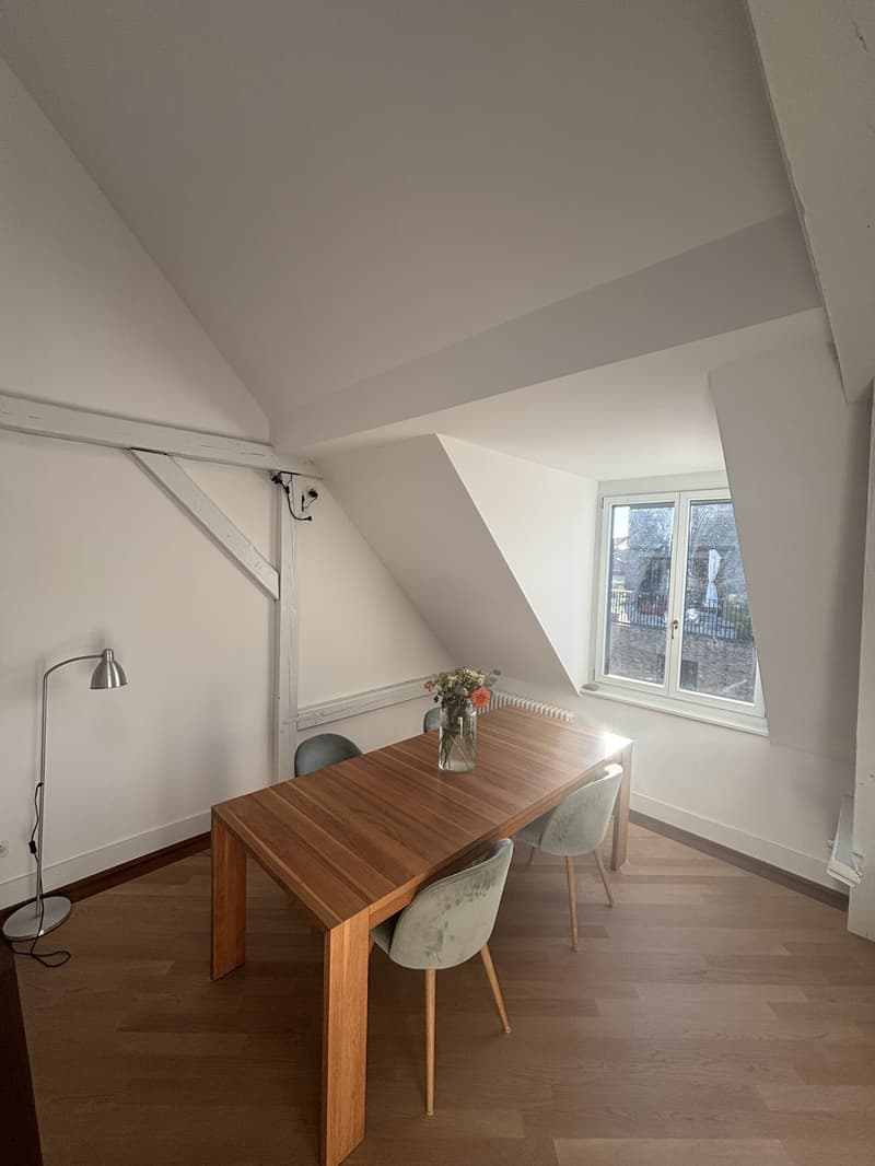 Bright 20 m² Room in Duplex with Rooftop Terrace in Kreis 4 (1)