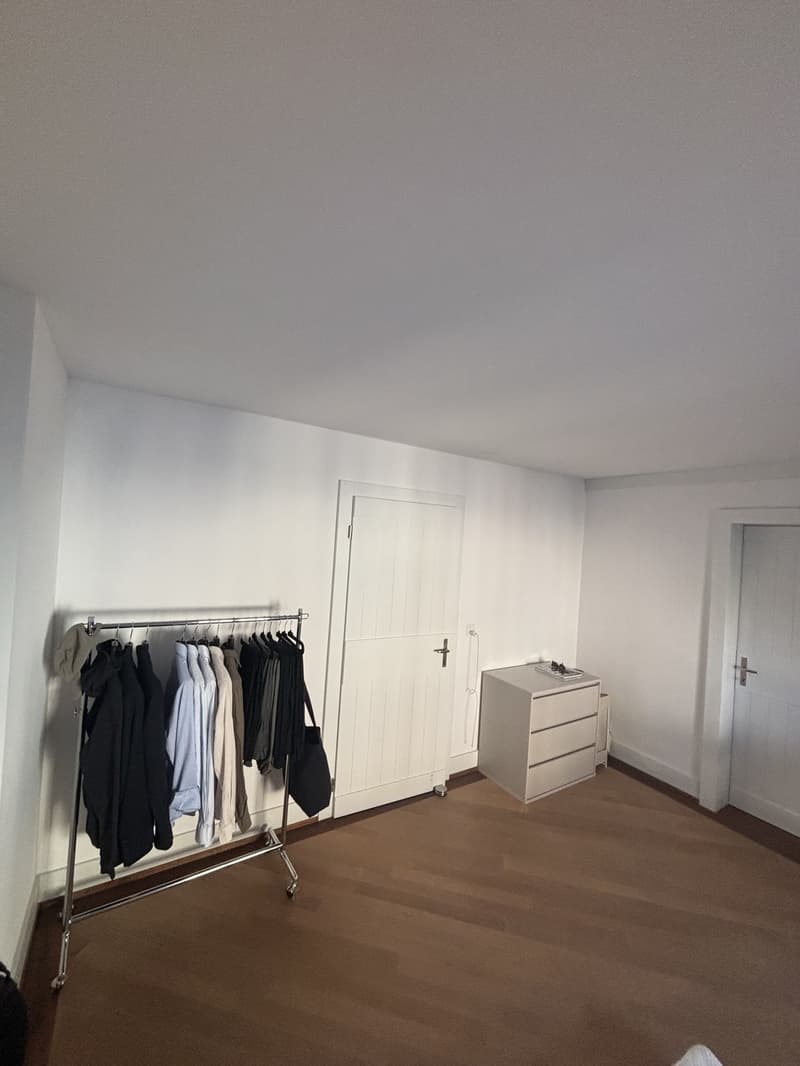 Bright 20 m² Room in Duplex with Rooftop Terrace in Kreis 4 (7)