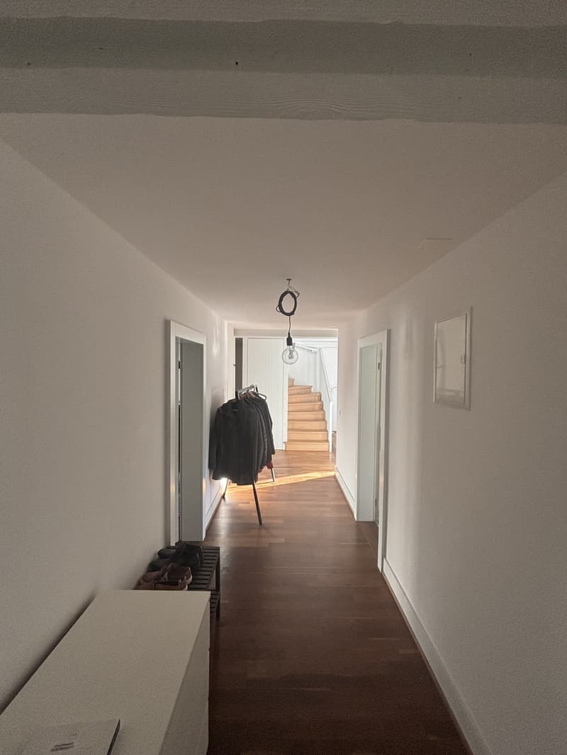 Bright 20 m² Room in Duplex with Rooftop Terrace in Kreis 4 (5)