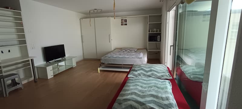 1,5 Zimmer Wohnung modern (7)
