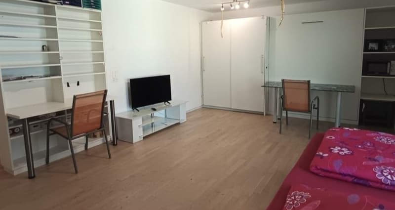 1,5 Zimmer Wohnung modern (4)