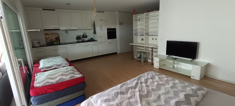 1,5 Zimmer Wohnung modern (6)