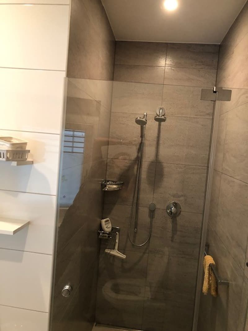 Rent a Furnished apartment in Zug (10)