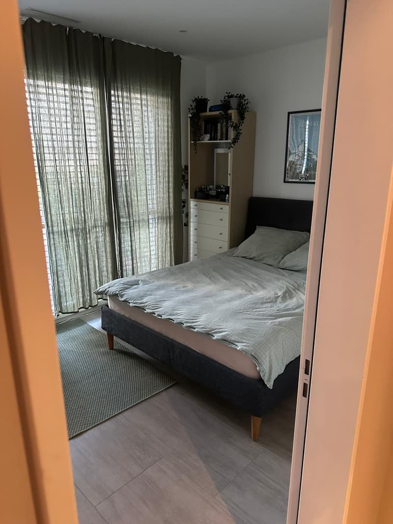 Rent a Furnished apartment in Zug (13)