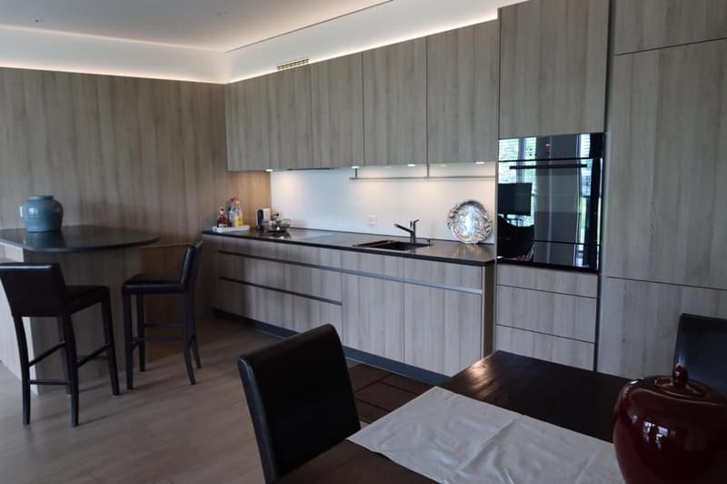 Rent a Furnished apartment in Zug (6)