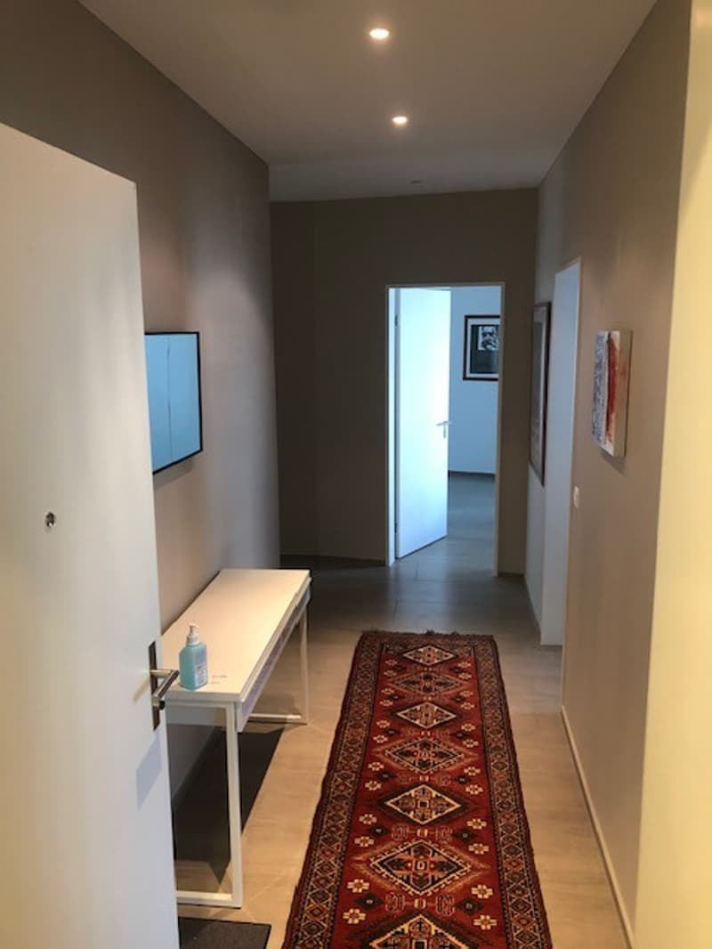 Rent a Furnished apartment in Zug (12)