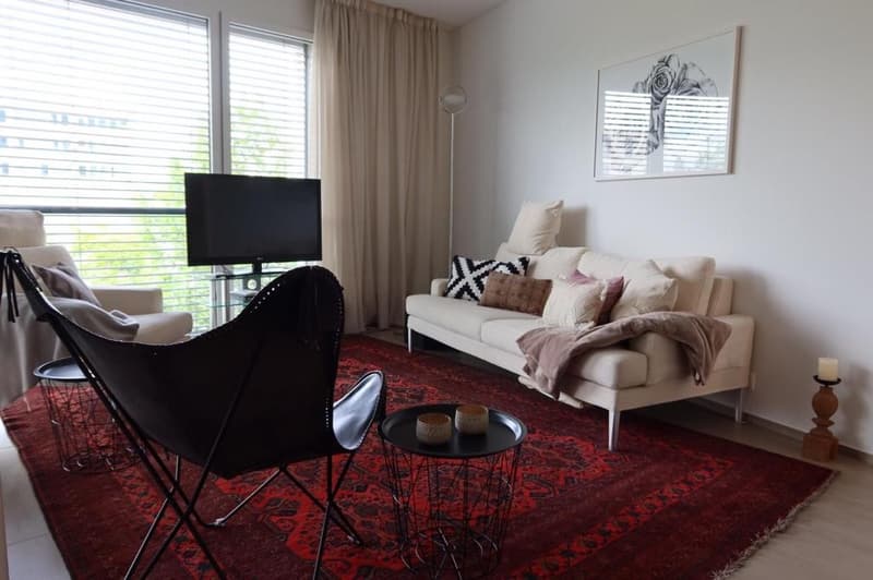 Rent a Furnished apartment in Zug (4)