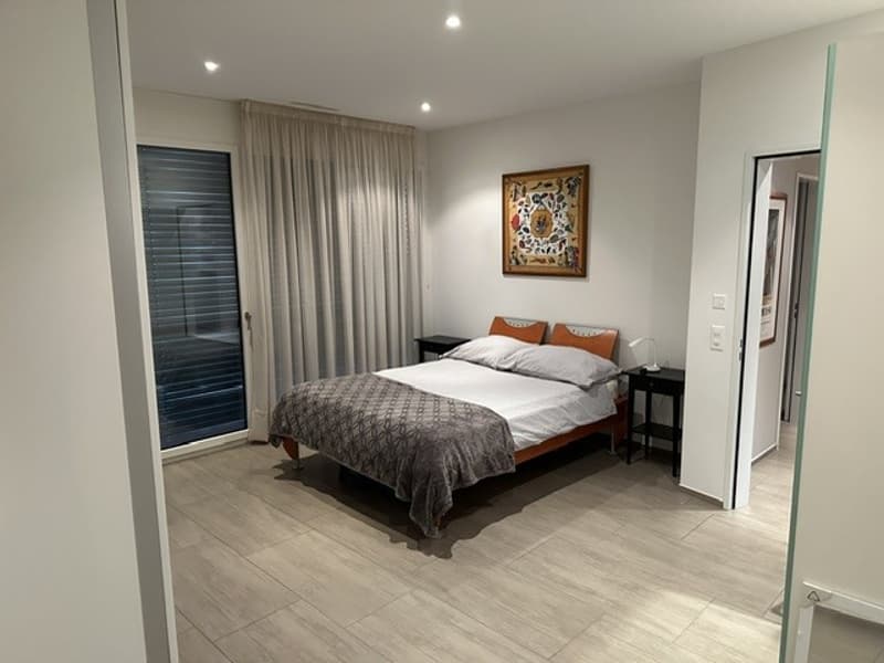 Rent a Furnished apartment in Zug (9)