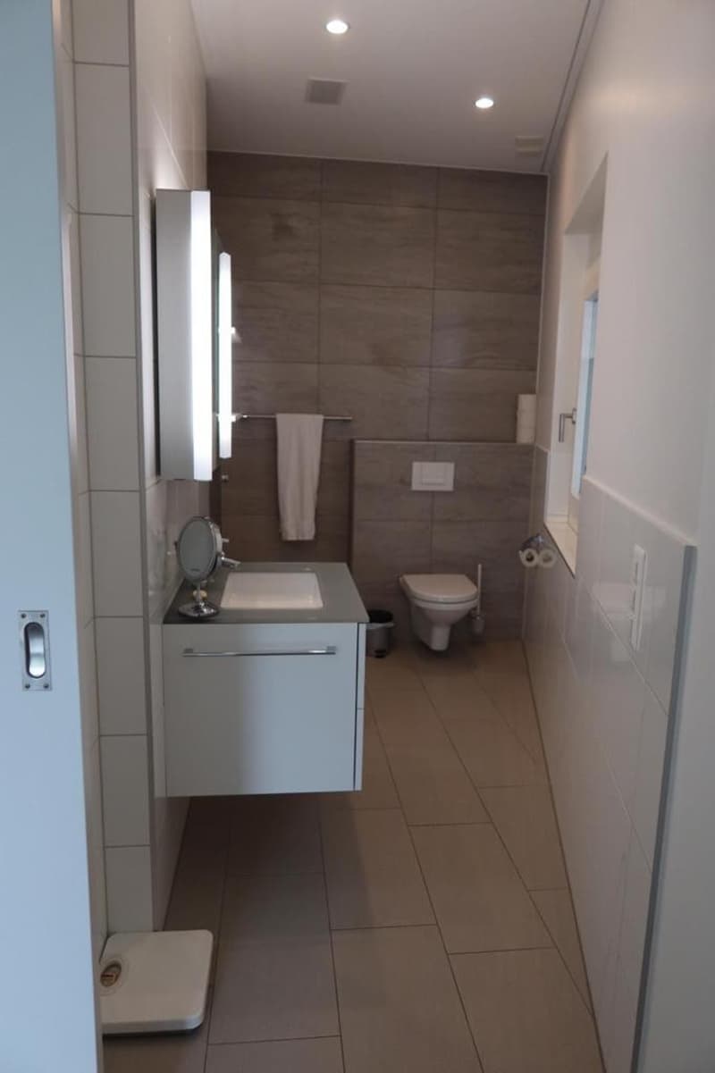 Rent a Furnished apartment in Zug (11)