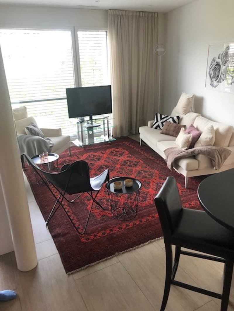 Rent a Furnished apartment in Zug (5)