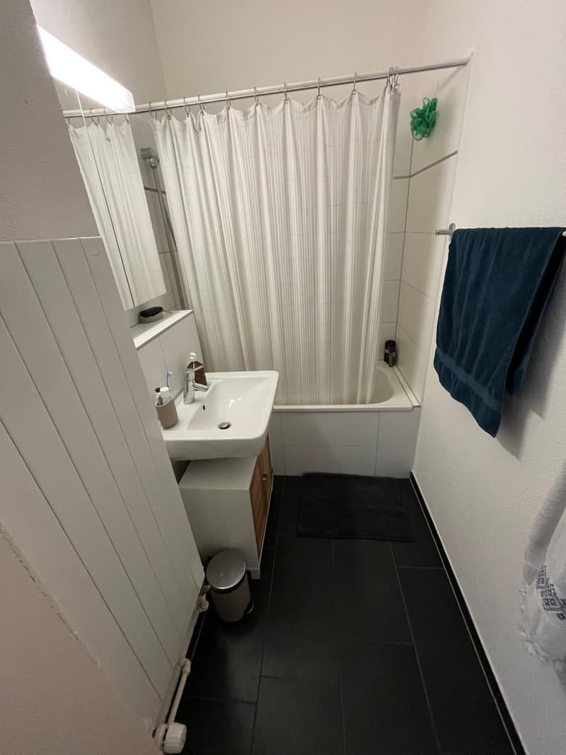 19sqm in a 4-Person Flatshare - heart of Oerlikon (9)