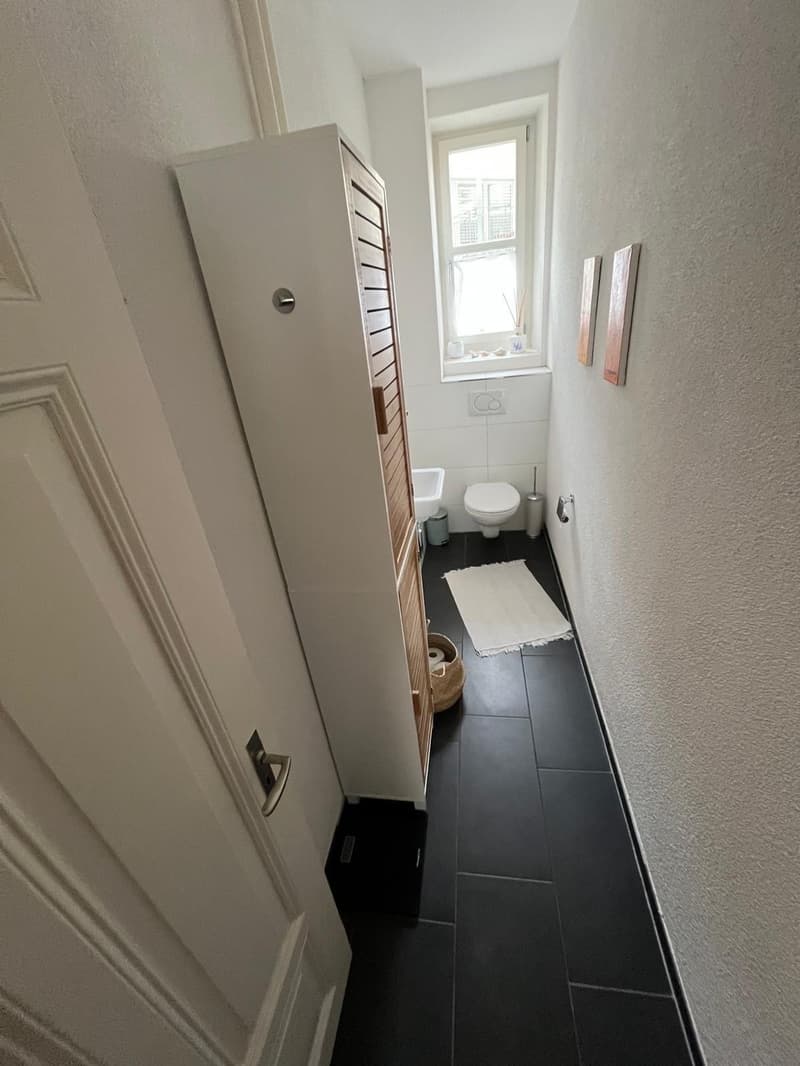 19sqm in a 4-Person Flatshare - heart of Oerlikon (8)