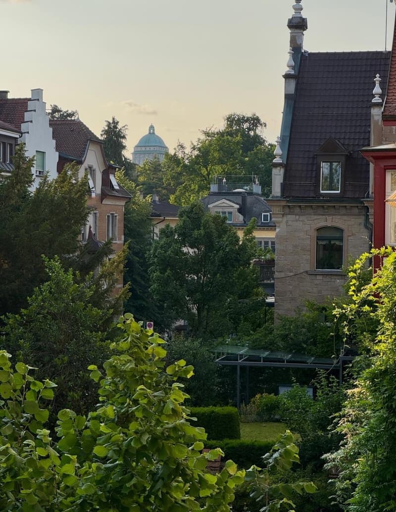 Room for Rent in Hottingen (3)