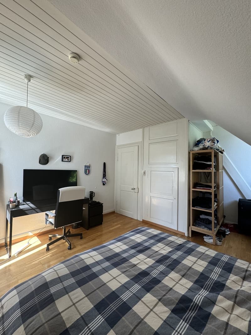 Room for Rent in Hottingen (10)