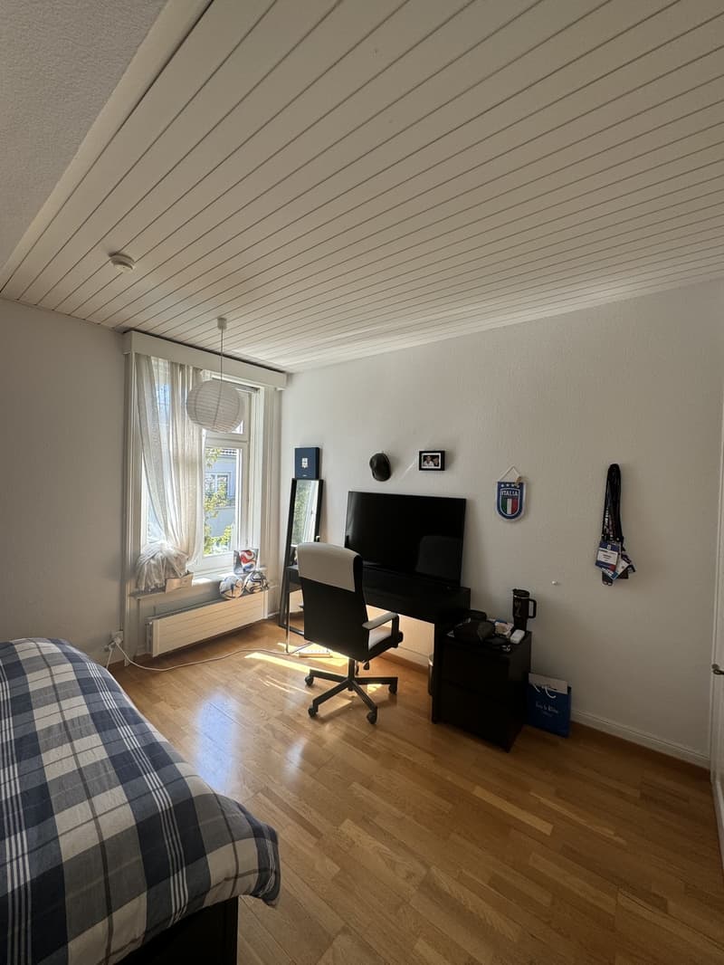 Room for Rent in Hottingen (9)