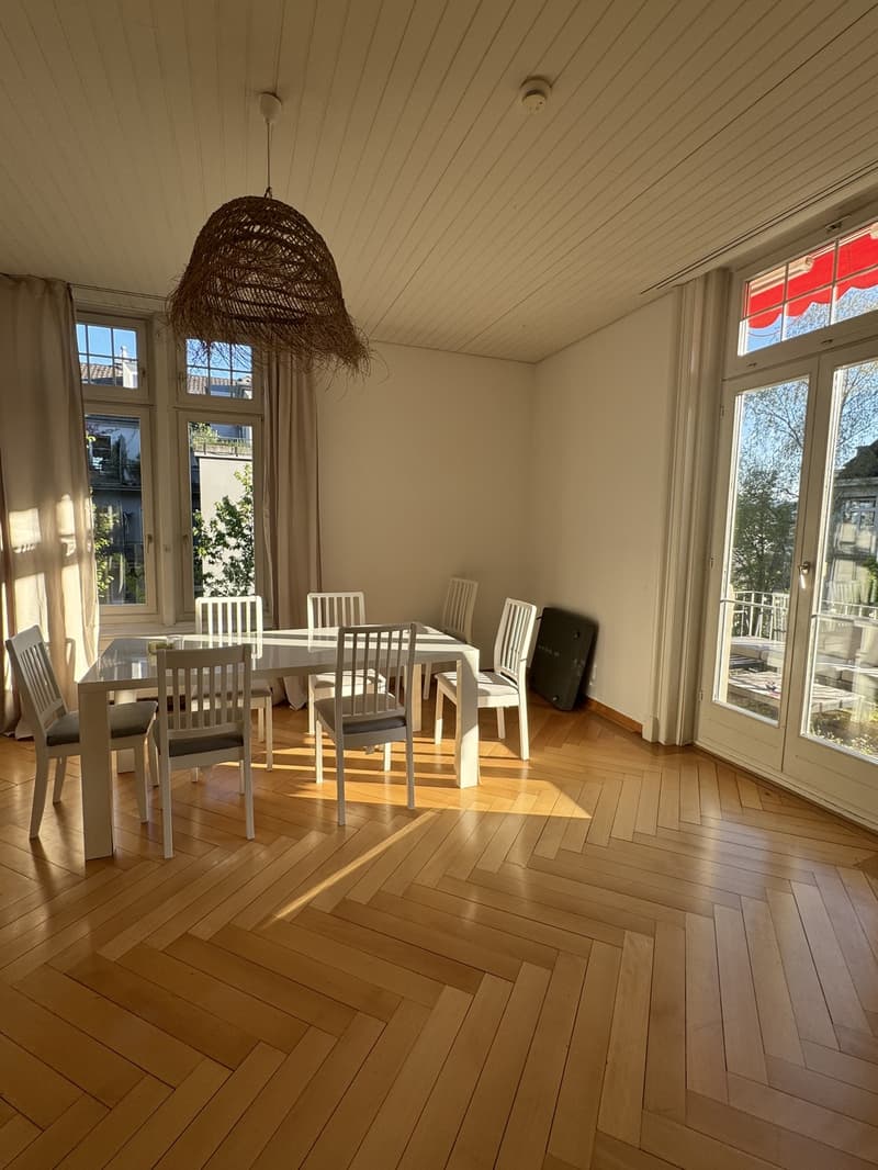 Room for Rent in Hottingen (4)