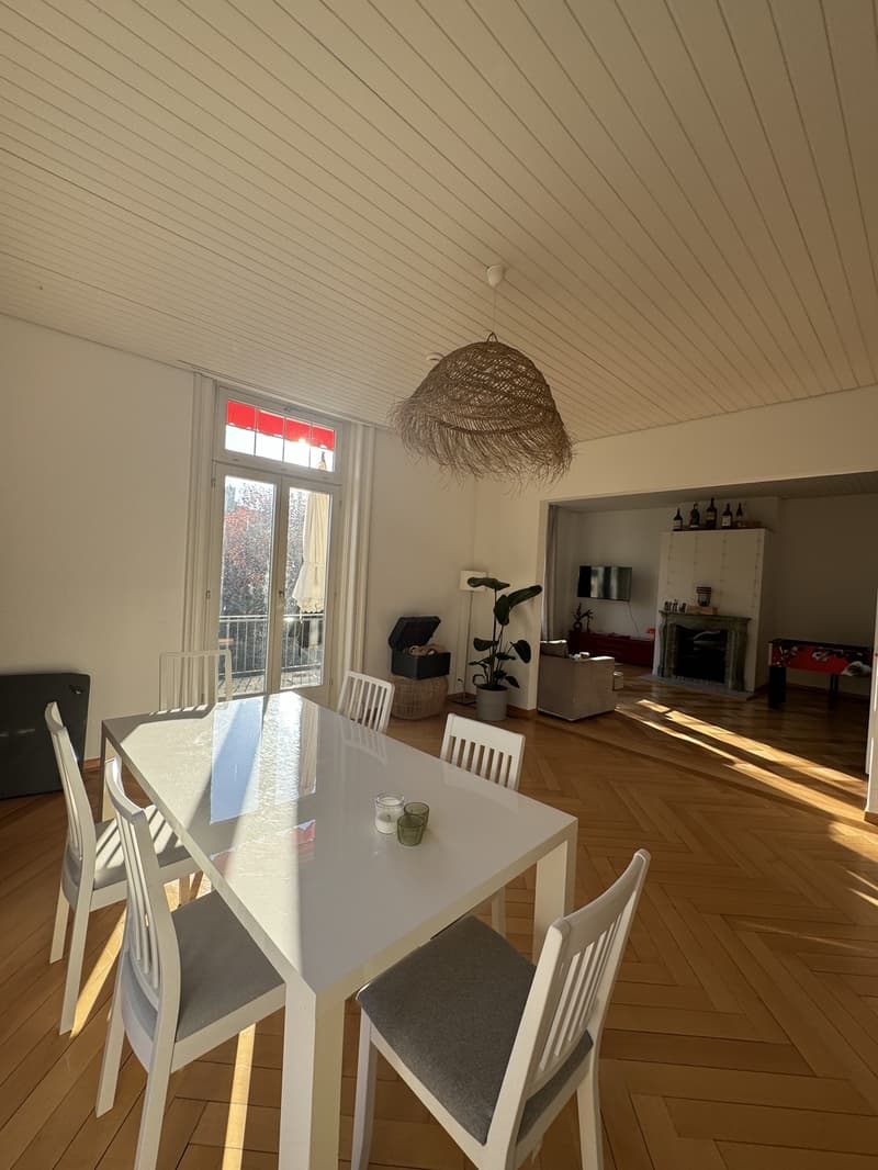 Room for Rent in Hottingen (7)