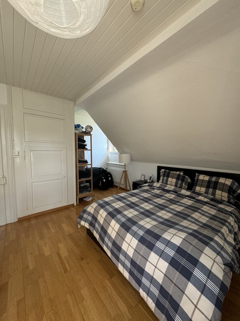 Room for Rent in Hottingen (2)