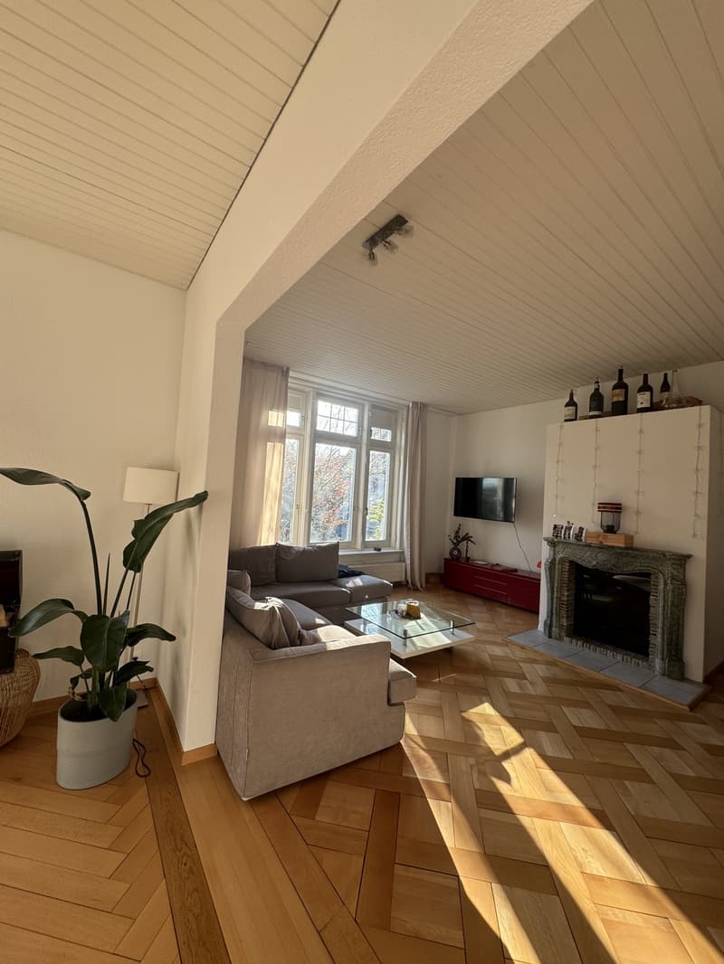 Room for Rent in Hottingen (5)