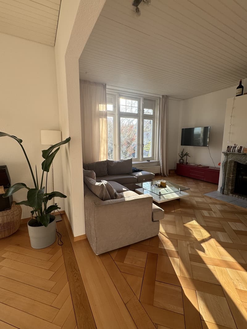 Room for Rent in Hottingen (8)
