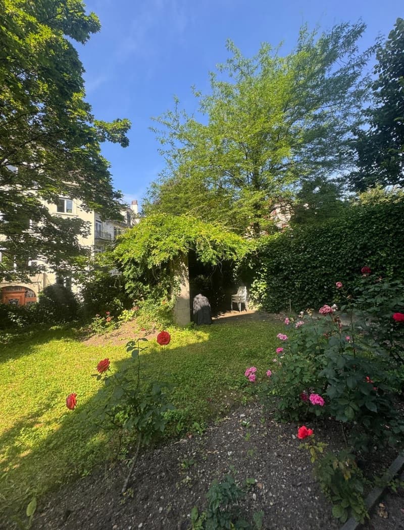 Room for Rent in Hottingen (6)