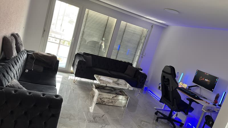 3,5 Zimmer Wohnung (1)