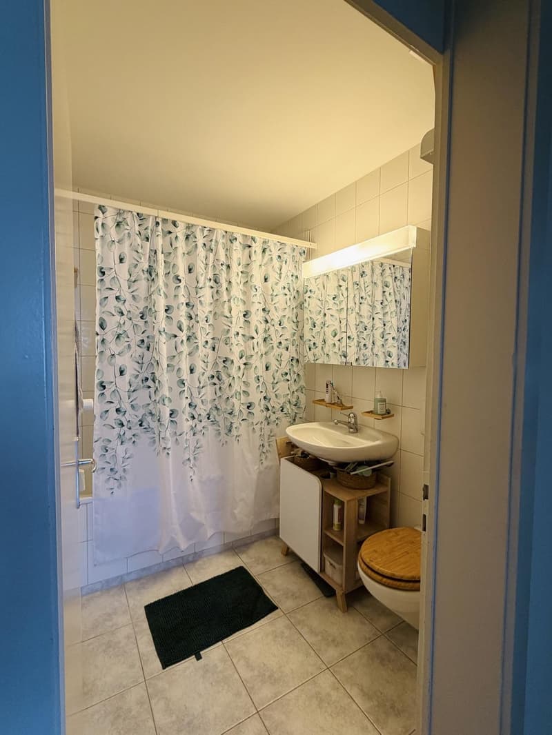 Helle und grosszügige 3,5 Zimmer Wohnung in Bremgarten bei Bern (8)