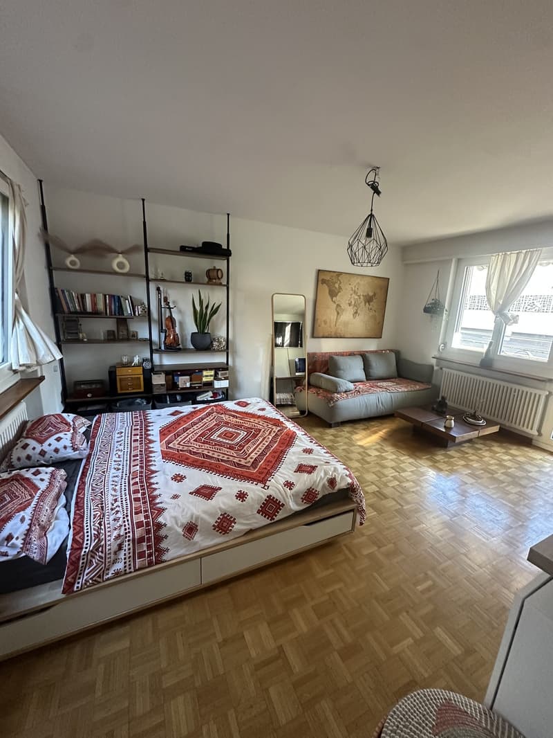 1.5 Zimmer Wohnung NUR für September, mobiliert (6)