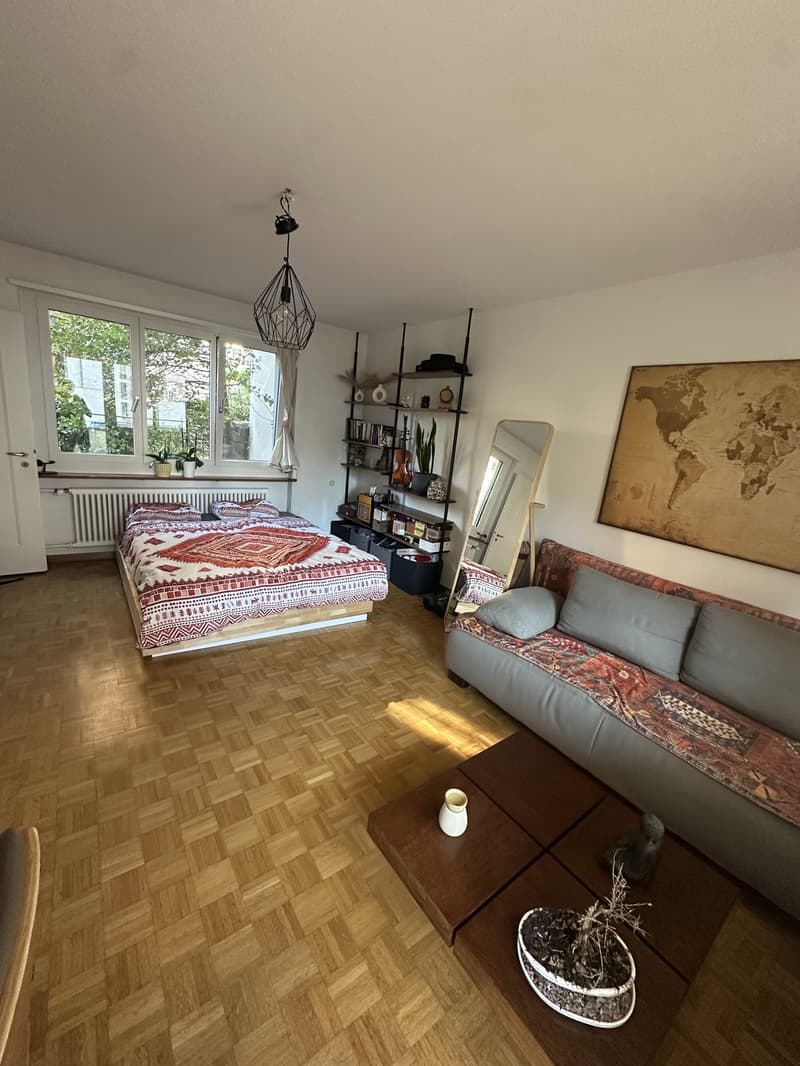 1.5 Zimmer Wohnung NUR für September, mobiliert (1)