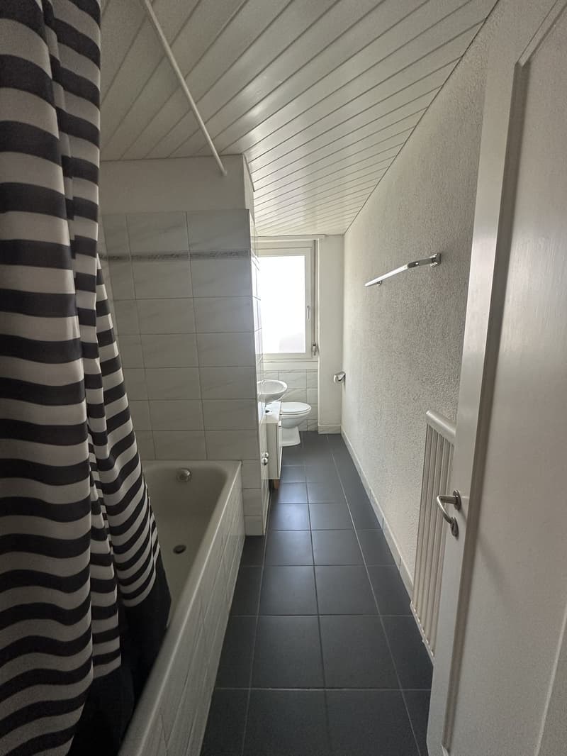 1.5 Zimmer Wohnung NUR für September, mobiliert (5)
