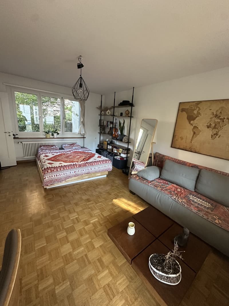 1.5 Zimmer Wohnung NUR für September, mobiliert (4)