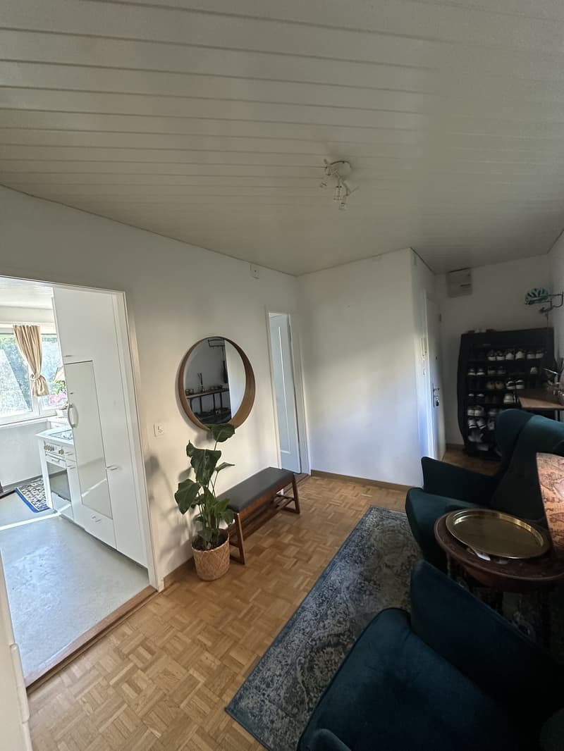 1.5 Zimmer Wohnung NUR für September, mobiliert (7)