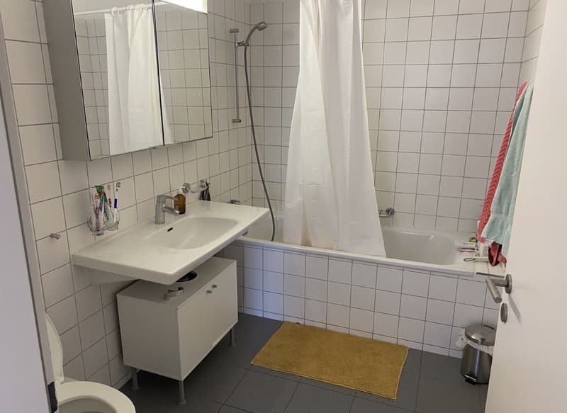 Befristetes WG Zimmer (3)