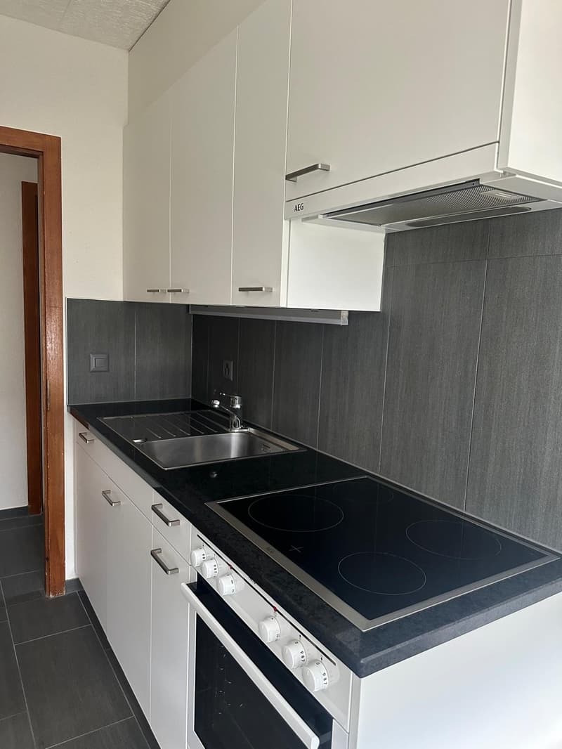 Joli appartement 3,5 pièces au centre ville de Sion (5)