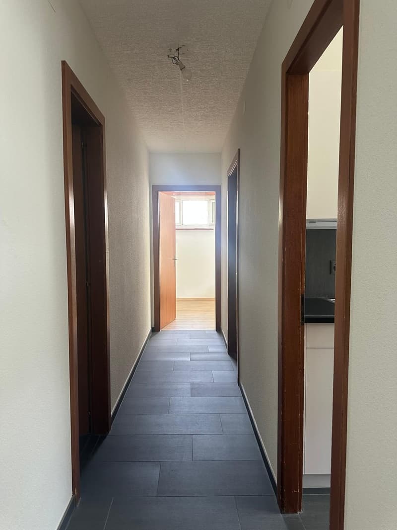 Joli appartement 3,5 pièces au centre ville de Sion (2)