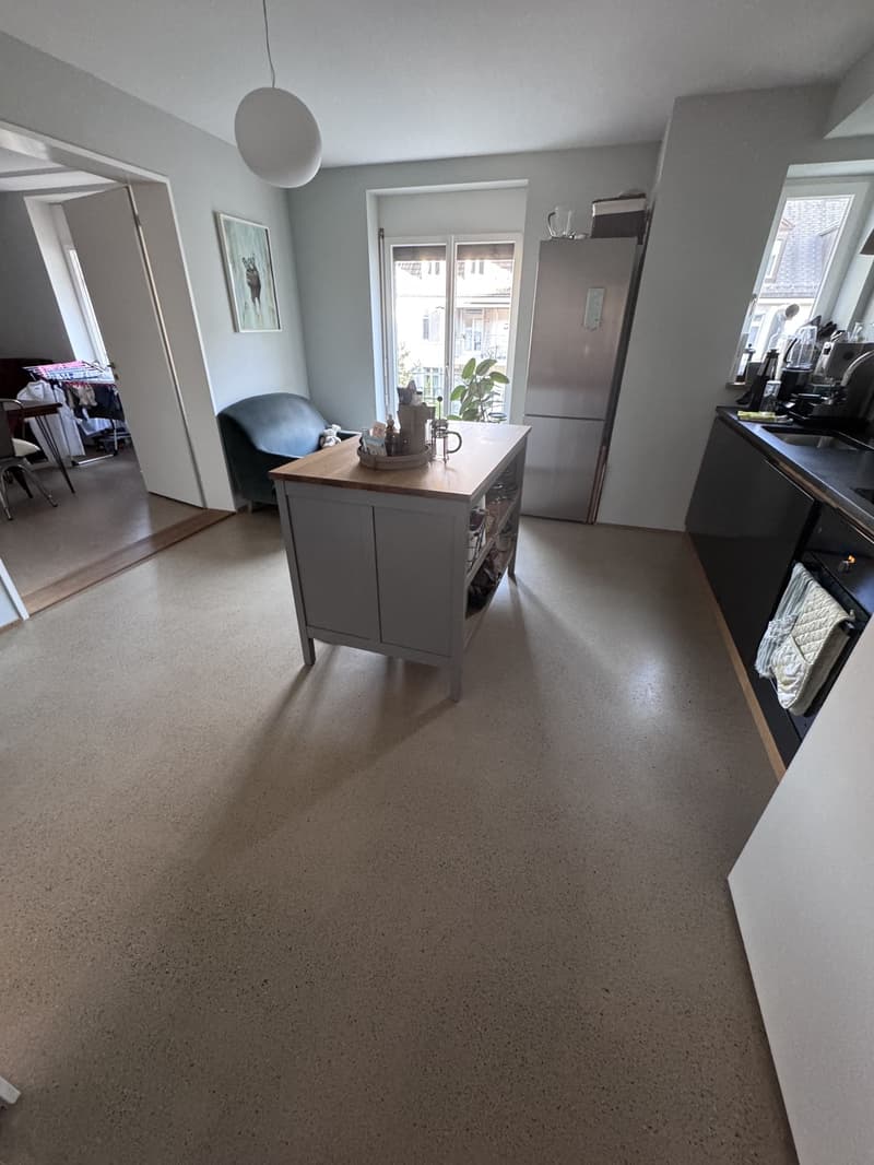 3.5 room luxury apartment in downtown Zurich (2)