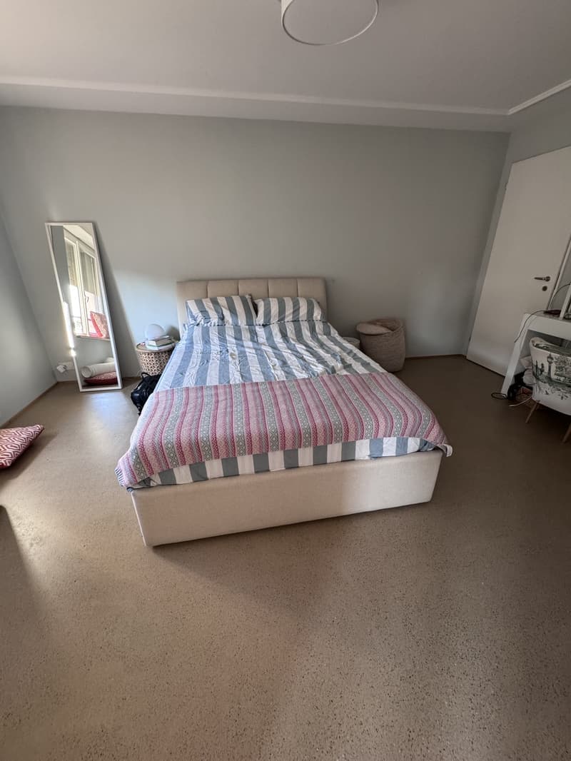 3.5 room luxury apartment in downtown Zurich (3)
