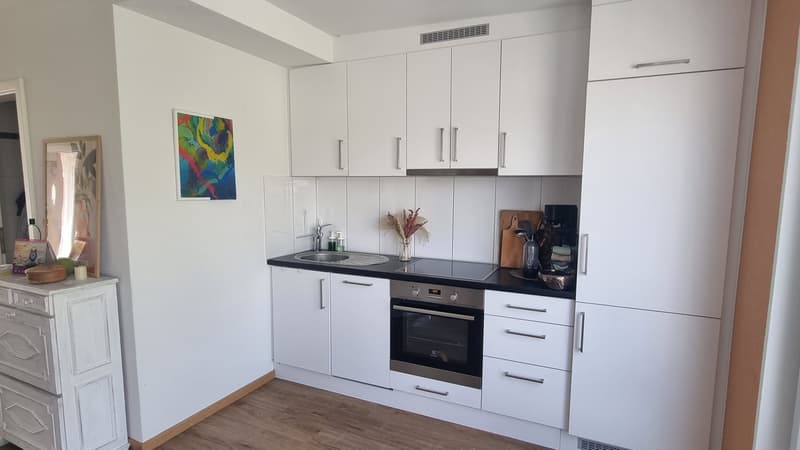 Wunderschönen Wohnung mit zwei Balkonen (3)