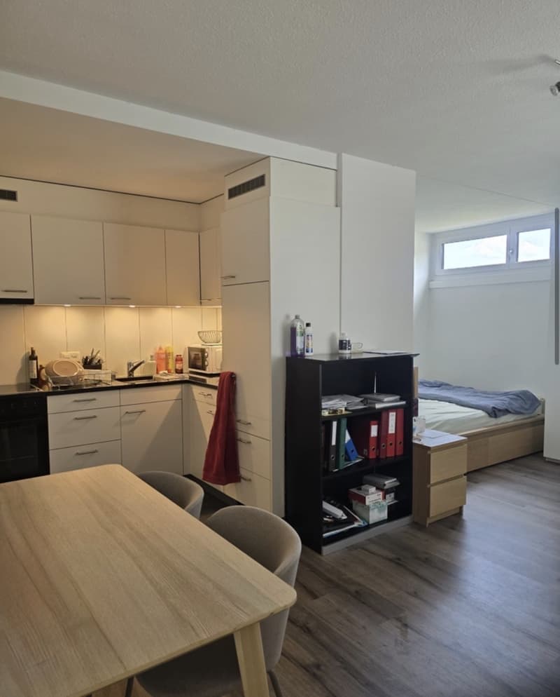 1.5-Zimmer-Wohnung in Thun befristete Untermiete (1)